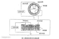 影響臭氧發(fā)生的主要因素有哪些？